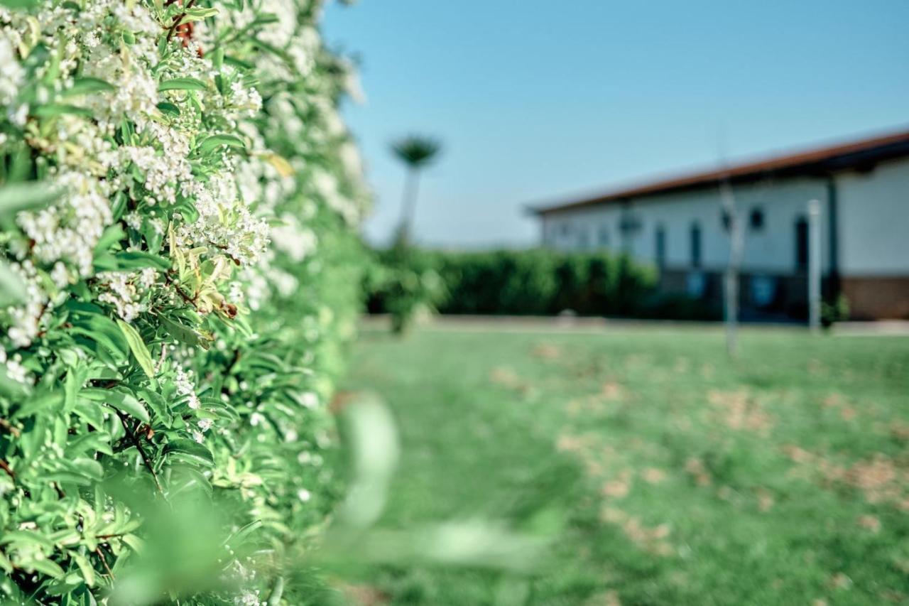 LA MASSARÌA agriresort Orta Nova Extérieur photo