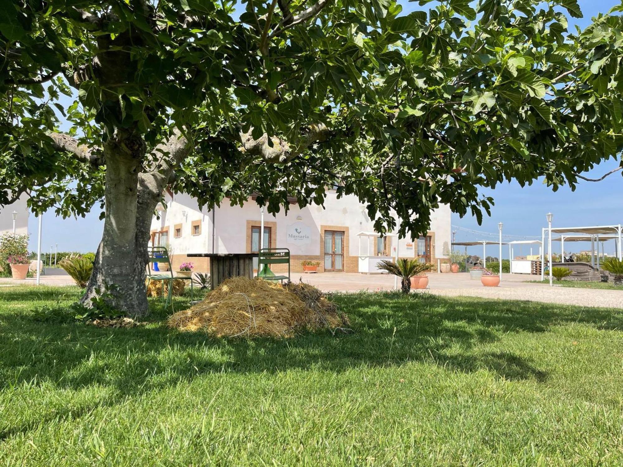 LA MASSARÌA agriresort Orta Nova Extérieur photo