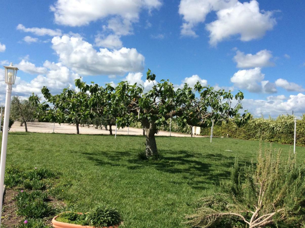 LA MASSARÌA agriresort Orta Nova Extérieur photo